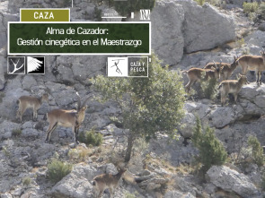 Alma de cazador: Gestión cinegética en el maestrazgo