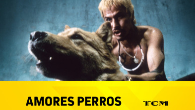 Amores perros