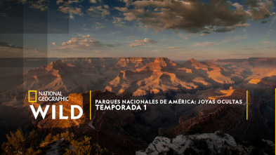 Imagen de Parques Nacionales de América  - 7