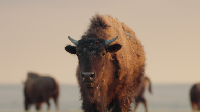 Imagen de Parques Nacionales de...: Badlands - 1