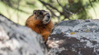 Imagen de Parques Nacionales de...: Yosemite - 1