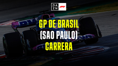 GP de Brasil (Sao Paulo): GP de Brasil: Carrera