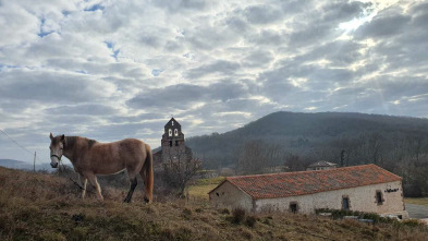 El Camino de Santiago by Julius - Deba-Gernika