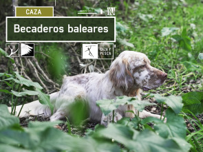 Becaderos Baleares (T1)