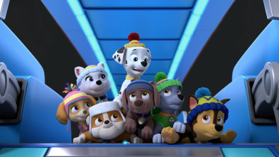 Imagen de La patrulla... (T8): La patrulla salva un retrato real - 1