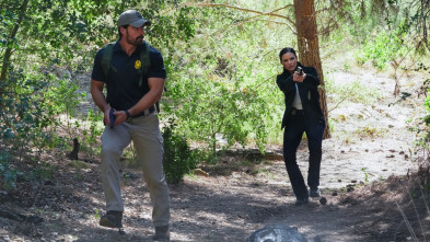 Imagen de NCIS: Naval... (T20): Ep.4 Sin dejar rastro - 5