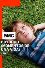 Boyhood. Momentos de una vida