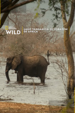 Imagen de Lago Tanganica: el corazón de Africa - 1