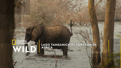 Lago Tanganica: el corazón de Africa