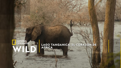 Imagen de Lago Tanganica: el corazón de Africa - 2