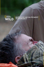 Imagen de ¿Qué bicho me ha picado?  - 1