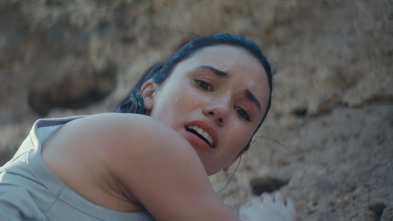 Imagen de Fall - 14