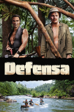 Imagen de Defensa - 1