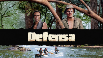 Imagen de Defensa - 2