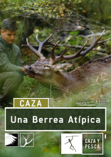 Imagen de Una berrea atípica - 1