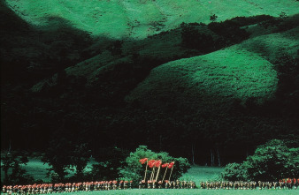Imagen de Ran - 14