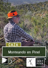 Lances Monteros... (T1): Monteando en Pinel