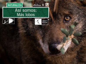 Así somos (T1): Más lobos