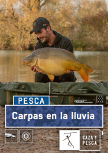 Imagen de Carpas en la lluvia - 1