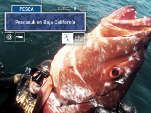 Pescasub en Baja California