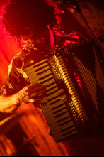 Imagen de Weird: La historia de Al Yankovic - 8