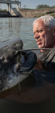 Imagen de Aguas profundas con Jeremy Wade  - 7