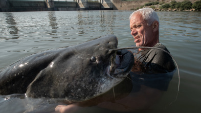 Imagen de Aguas profundas con Jeremy Wade  - 8