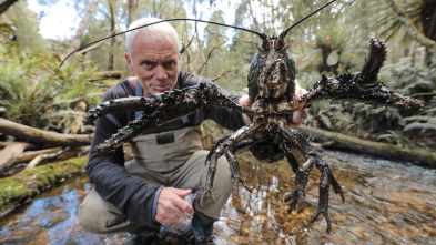 Imagen de Aguas profundas con Jeremy Wade  - 10