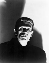 Imagen de El doctor Frankenstein - 8