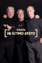 TRICICLE, un último gesto