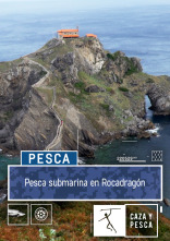 Imagen de Pesca submarina en Rocadragón - 1