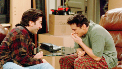 Friends - El de la hermana inapropiada