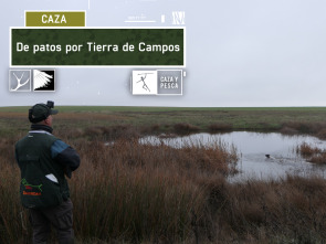 Imagen de De patos por Tierra de campos - 2