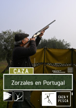 Zorzales en Portugal