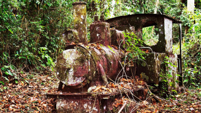 Arqueología en la jungla - El viaje del antiguo rinoceronte