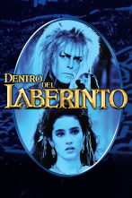 Dentro del laberinto
