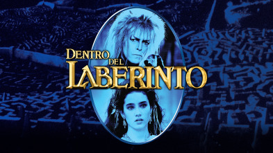 Dentro del laberinto
