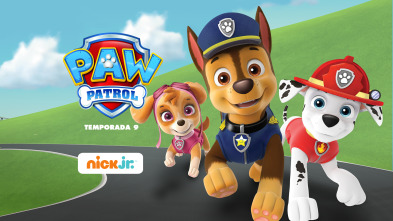 La patrulla canina single story