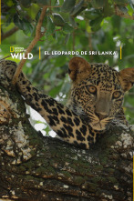 El Leopardo de Sri Lanka