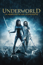 Imagen de Underworld: La rebelión de los licántropos - 1