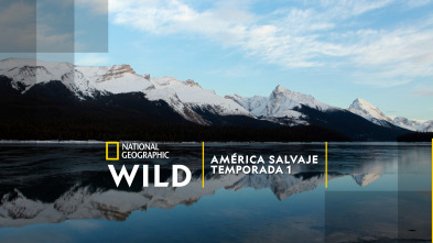 Imagen de América salvaje  - 2