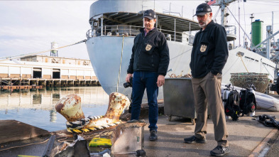 Imagen de NCIS: Naval... (T20): Ep.13 Mal de ojo - 3