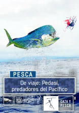Imagen de De viaje: Pedasí, predadores del Pacífico - 1