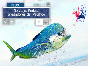 Imagen de De viaje: Pedasí, predadores del Pacífico - 2