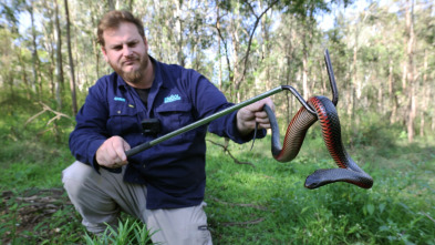 Australia: cazadores de serpientes - Episodio 1