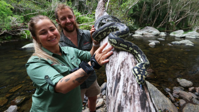 Australia: cazadores de serpientes - Episodio 6