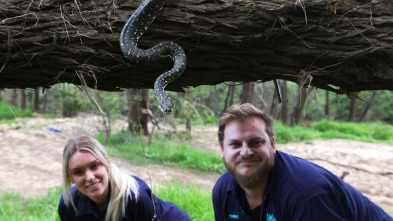 Australia: cazadores de serpientes - Episodio 8