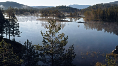 Escandinavia salvaje: Tierra
