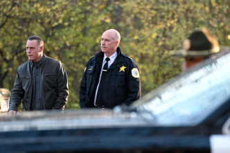 Imagen de Chicago P.D. (T10): Ep.9 Prueba de la carga - 1