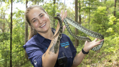 Australia: cazadores de serpientes - Enredado
